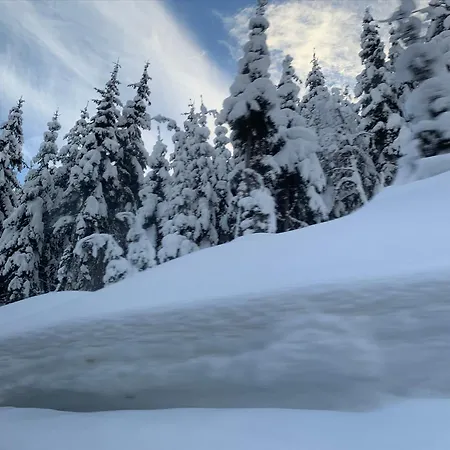 샬레 Nassfeld A And B